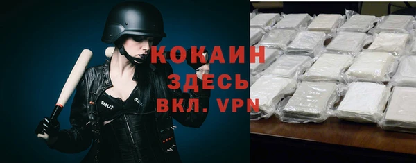 дживик Мурманск
