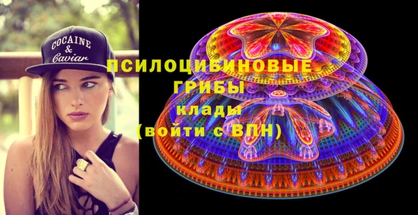 прущие крисы Арсеньев