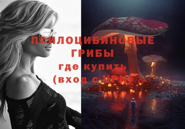 прущие крисы Арсеньев